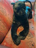 Pluche Panter redelijk levensecht 167 cm incl. staartlengte, Ophalen, Nieuw, Wild dier, Overige typen