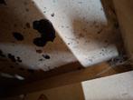 Warmtekamer, Ophalen, Zo goed als nieuw