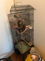 Vogelkooi, Dieren en Toebehoren, Ophalen, Zo goed als nieuw, Metaal, Vogelkooi