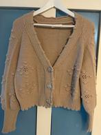 Beige Vestje - Maat M/L, Ophalen of Verzenden, Zo goed als nieuw, Maat 38/40 (M), Beige