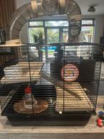 Hamsterkooi, Dieren en Toebehoren, Minder dan 60 cm, Kooi, Minder dan 75 cm, Ophalen of Verzenden