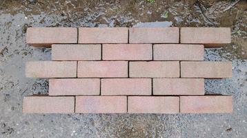 nieuw gebakken dikformaat / rood beschikbaar voor biedingen