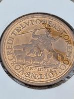 Bronzen Penning 1984 Dordrecht, Ophalen of Verzenden, Brons