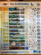 schoolplaat poster van de geologische tijdperken dinosaurier, Antiek en Kunst, Ophalen of Verzenden, Aardrijkskunde