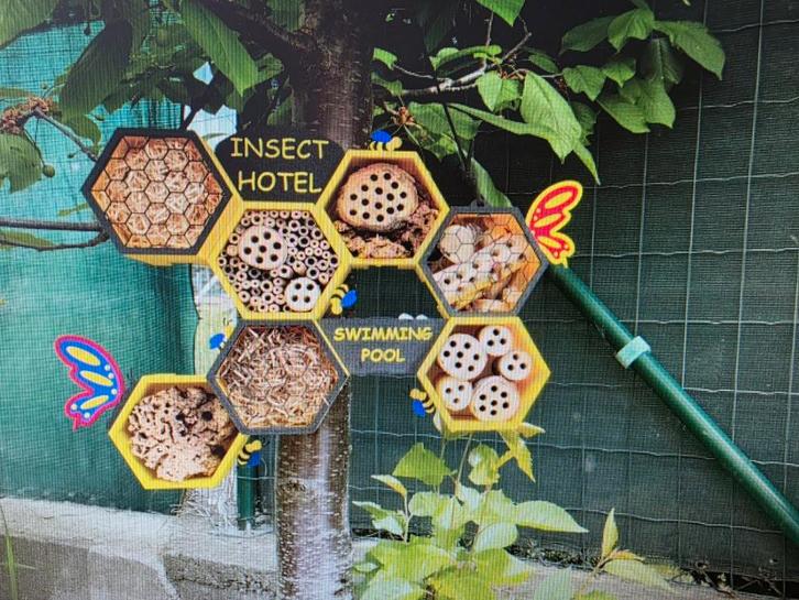 Bijenkast,insektenkast,eekhoorn huisjes tegen spotprijzen, Dieren en Toebehoren, Vogels | Hokken en Kooien, Vogelkooi, Hout, Ophalen of Verzenden