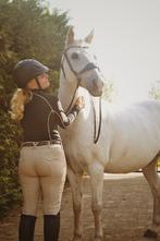 Lieve knappe D-pony te koop, Ruin, D pony (1.37m tot 1.48m), Recreatiepony, 11 jaar of ouder