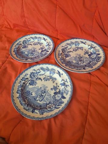 Borden mandarin China  beschikbaar voor biedingen