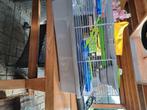 Hamsterkooi, Dieren en Toebehoren, Knaagdieren en Konijnen | Hokken en Kooien, Kooi, Minder dan 75 cm, Zo goed als nieuw, Hamster
