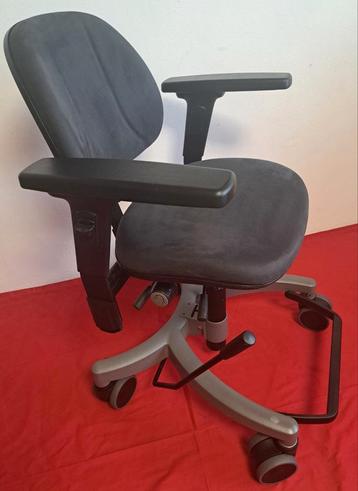 Hepro Standaard  Luxe Trippelstoel
Deze stoel is volledig  beschikbaar voor biedingen