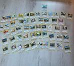 Pokemon kaarten met opbergmap en blik+ 2 munten, Ophalen of Verzenden