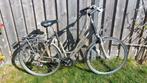 Koga Balance 56 inch, Ophalen, 28 inch, Koga Miyata, Meer dan 20 versnellingen