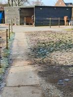 Plek vrij bij kleinschalige doe het zelf stal!, Dieren en Toebehoren, Stalling en Weidegang, Weidegang