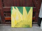 Gratis canvas zonnebloem 60x60 cm, Ophalen, Gebruikt, 50 tot 75 cm, Schilderij
