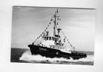 scheepvaart-VLISSINGEN-S.H.V-sophia-1, Ophalen of Verzenden, Zo goed als nieuw, Kaart, Foto of Prent