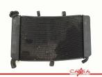 RADIATEUR Yamaha XJ 6 2009-2012 (XJ6 XJ6S XJ6N Diversion), Motoren, Gebruikt