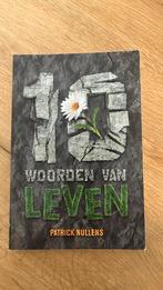 Patrick Nullens - 2014, Ophalen of Verzenden, Zo goed als nieuw, Patrick Nullens