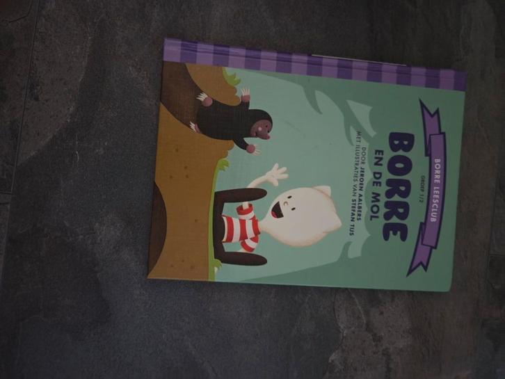 Borre en de Mol - Jeroen Aalbers, Boeken, Kinderboeken | Jeugd | onder 10 jaar, Gelezen, Fictie algemeen, Ophalen of Verzenden