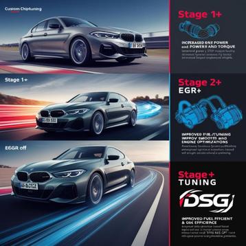 Actie Chiptuning op maat Stage 1+ / Stage 2+ / EGR Off / DSG beschikbaar voor biedingen