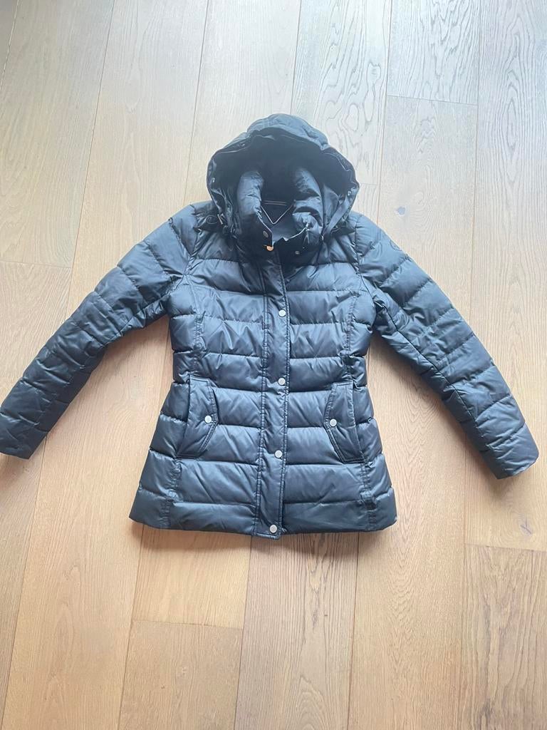 Tommy hilfiger jas S, Ophalen of Verzenden, Zo goed als nieuw, Zwart