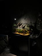 Aquarium 100L met meubel, Ophalen of Verzenden, Zo goed als nieuw, Leeg aquarium