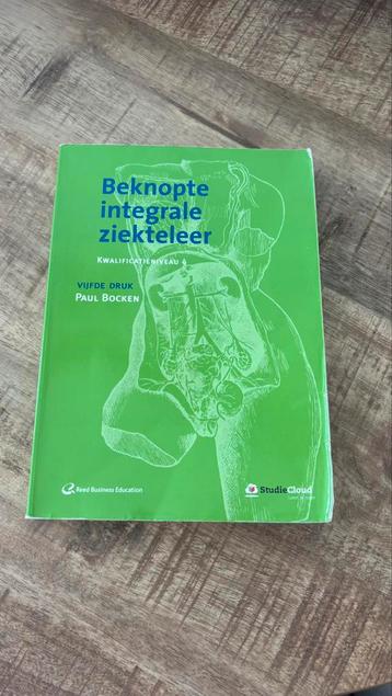 Paul Bocken - kwalificatieniveau 4 beschikbaar voor biedingen