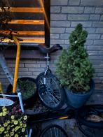 Een wieler, Fietsen en Brommers, Ophalen of Verzenden, Zo goed als nieuw