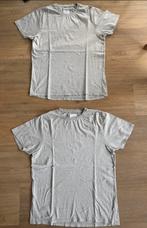 2 grijze t-shirts van +++Quality Blanks maat L samen €3,-, Maat 52/54 (L), Ophalen of Verzenden, +++Quality Blanks, Grijs