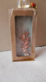 Partij 6 cadeaudoosjes droogplantjes origineel cadeau, Ophalen of Verzenden, Nieuw