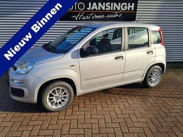 Fiat Panda 1.2! Edizione Cool 4 Cylinder! | Airco | LM Velge beschikbaar voor biedingen