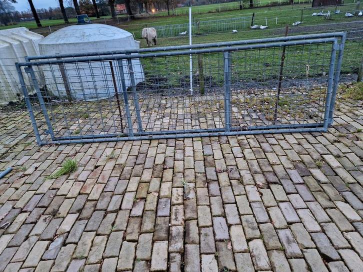 Hekken, Dieren en Toebehoren, Schapen, Geiten en Varkens, Schaap, Meerdere dieren