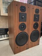 TRANSLATOR , Model Inpakt 5 II, Gebruikt, 60 tot 120 watt, Front, Rear of Stereo speakers, Ophalen