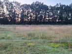 Paddock paradise, Dieren en Toebehoren, Stalling en Weidegang