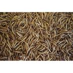 Meelwormen 10kg - Vogelvoer, Ophalen of Verzenden, Vogel