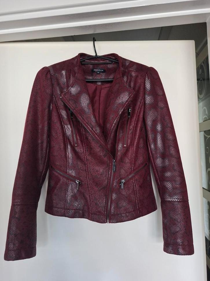 Super mooi leren jasje maat 36.(Morgan). Prijs 19.50, Kleding | Dames, Jassen | Zomer, Zo goed als nieuw, Maat 36 (S), Ophalen of Verzenden