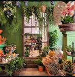 Ook zo'n mooie spiegel? Kies en Bestel hem hier!, Ophalen of Verzenden, Nieuw, Rechthoekig, Minder dan 100 cm