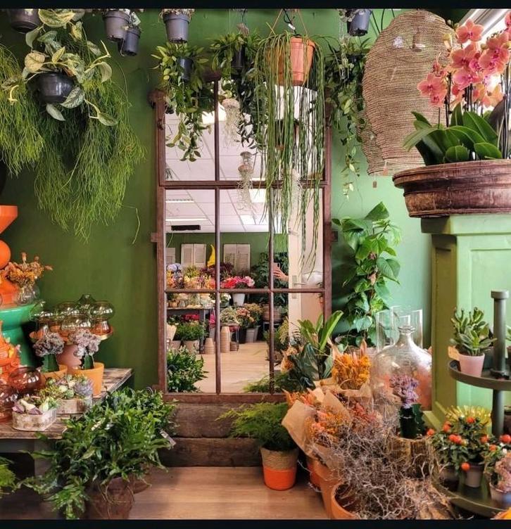 Ook zo'n mooie spiegel? Kies en Bestel hem hier!, Huis en Inrichting, Woonaccessoires | Spiegels, Nieuw, Minder dan 100 cm, Rechthoekig