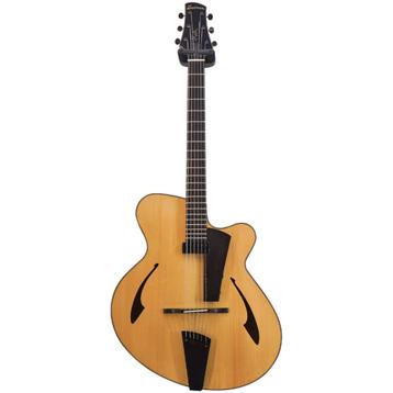 Eastman PG2 Hollow body gitaar b-stock beschikbaar voor biedingen