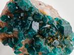 Smaragdgroene dioptaas - Reneville, Congo, Ophalen of Verzenden, Mineraal