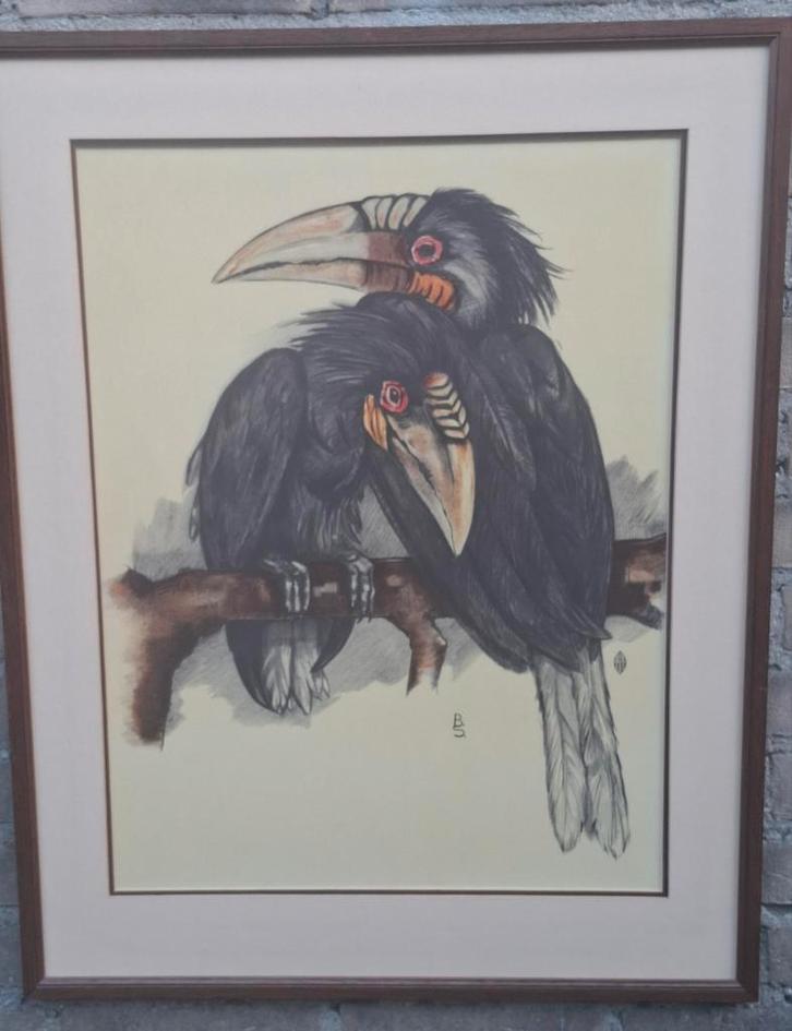 Bernard Sluyterman (1900-1999).Litho.  Toekans. 56/71 cm., Antiek en Kunst, Kunst | Litho's en Zeefdrukken, Ophalen