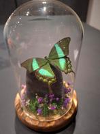 Prachtige stolp met vlinder en edelsteen labradoriet, Huis en Inrichting, Ophalen of Verzenden, Zo goed als nieuw