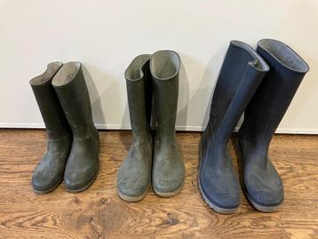 kaplaarzen beschikbaar voor biedingen