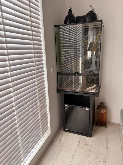 Exo Terra Paludarium 60X45X90 + ondermeubel en Toebhehoren, Dieren en Toebehoren, Reptielen en Amfibieën | Toebehoren, Zo goed als nieuw