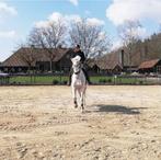 paardenstalling, Dieren en Toebehoren, Stalling en Weidegang, Weidegang, 1 paard of pony