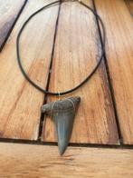 Ketting met een fossiele haaientand voorouder witte haai., Verzamelen, Mineralen en Fossielen, Verzenden, Mineraal