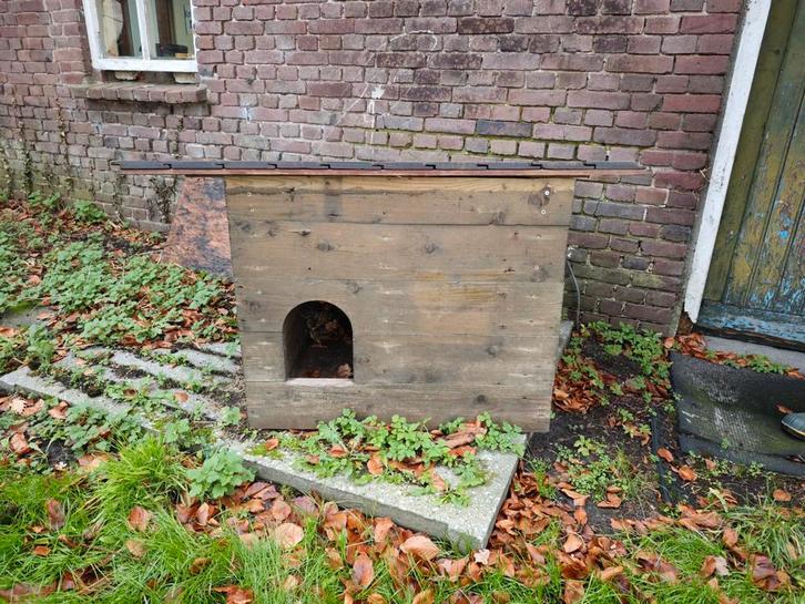 Hondenhok voor buiten, Dieren en Toebehoren, Hondenhokken, Gebruikt, Hondenhok, Minder dan 65 cm, 75 tot 110 cm, Ophalen