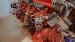 peugeot indinor 40 pk 4 cylinder start goed.  m, Ophalen of Verzenden, Gebruikt, Peugeot