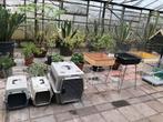 Te koop Hondenbenches, Papegaaien kooien en Konijnen hokken, Ophalen