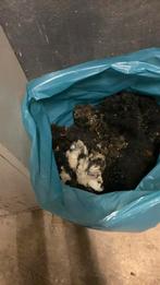 Schapen wol, Ophalen of Verzenden, Spinwol