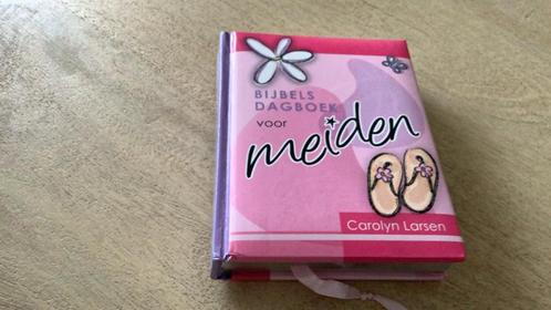 Carolyn Larsen - Bijbels dagboek voor meiden, Boeken, Godsdienst en Theologie, Zo goed als nieuw, Ophalen of Verzenden