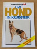 Uw Hond in Kruissteek - Steek - jaren 80, Patroon, Gebruikt, Ophalen of Verzenden, Nvt